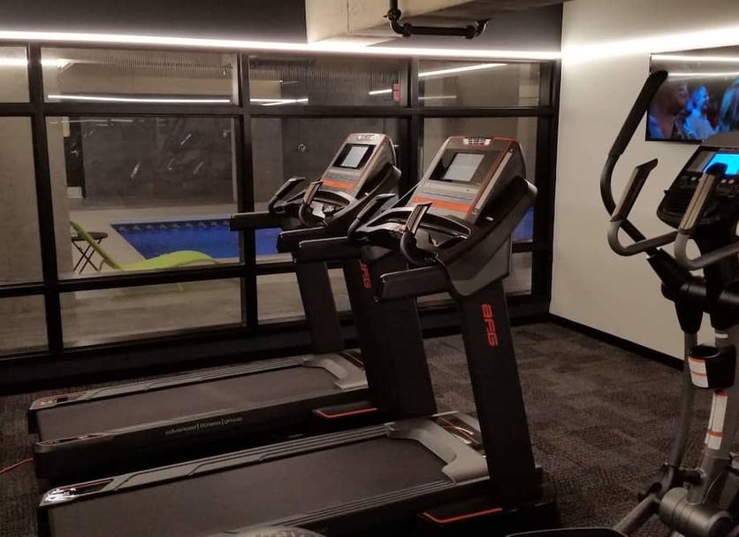 Palestra Foto