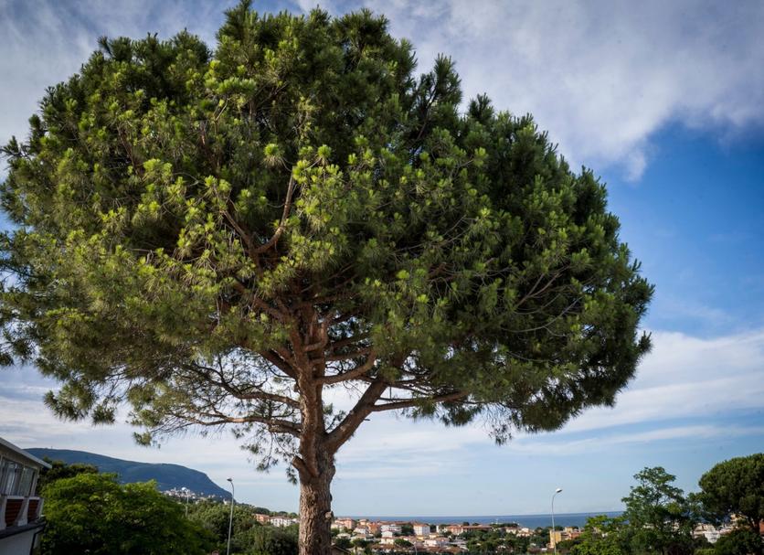 Vista esterna Foto