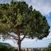 Vista esterna