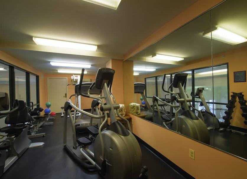 Palestra Foto