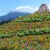 Vista esterna