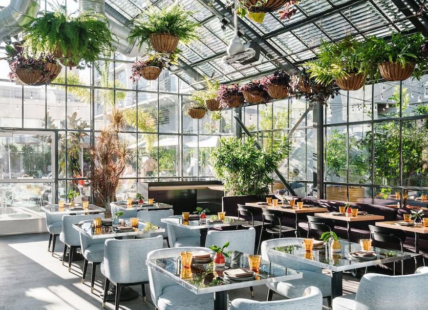 Ristorante Foto