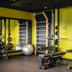 Palestra