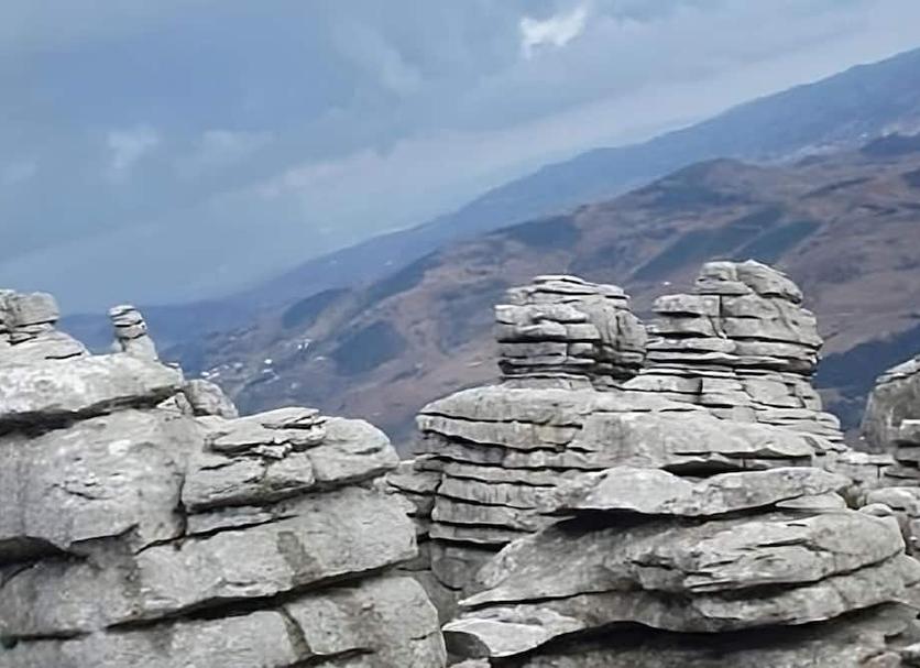 Altro Foto