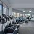 Palestra