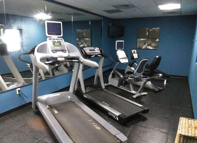 Palestra Foto