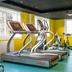 Palestra
