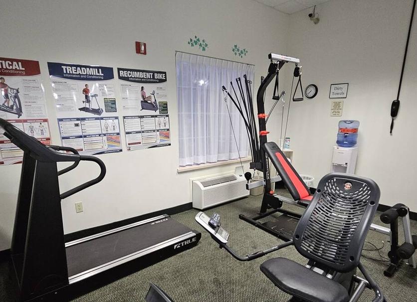 Palestra Foto