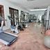 Palestra