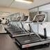 Palestra