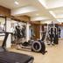 Palestra