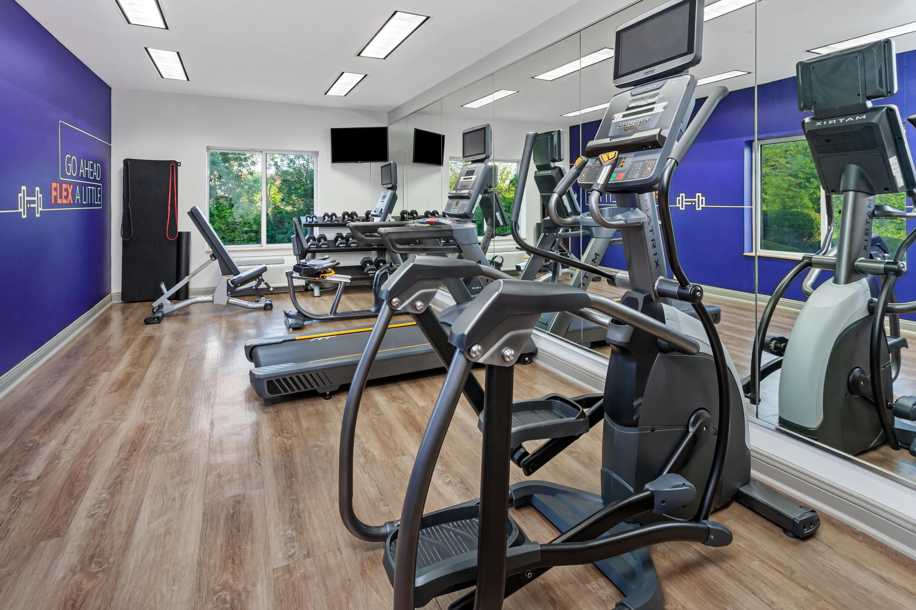 Palestra