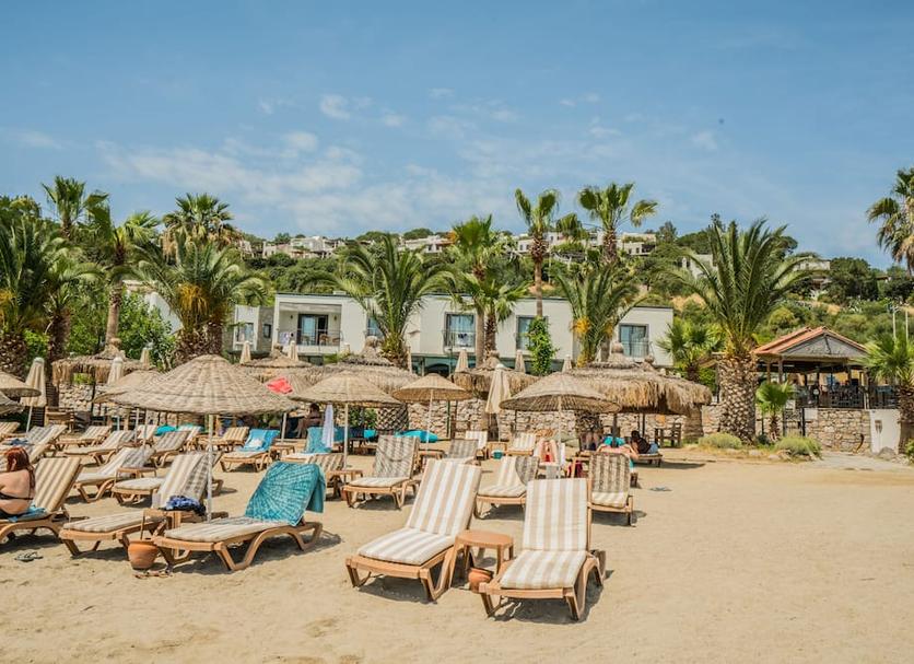 Spiaggia Foto