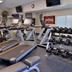 Palestra