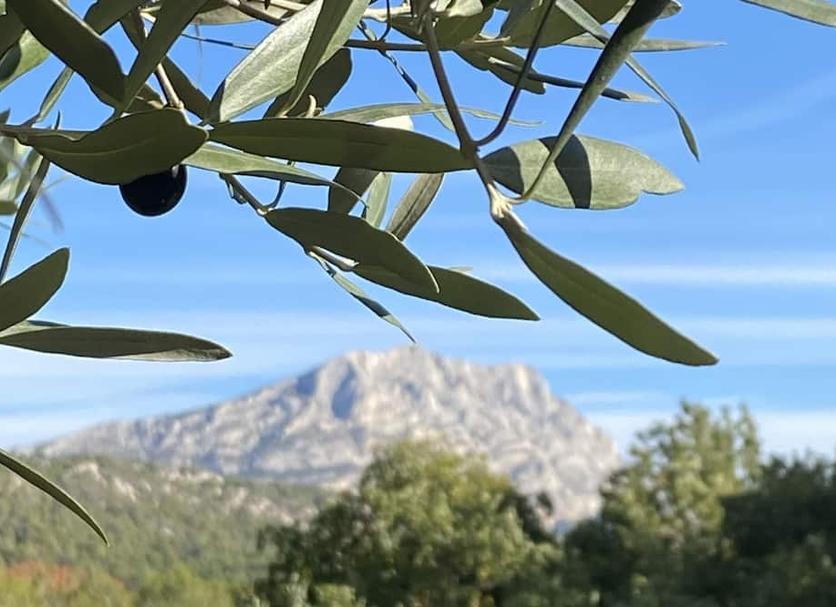 Vista esterna Foto