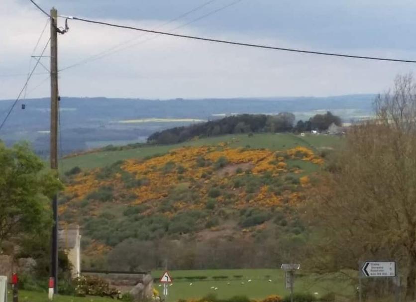 Vista esterna Foto