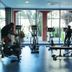 Palestra