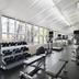 Palestra
