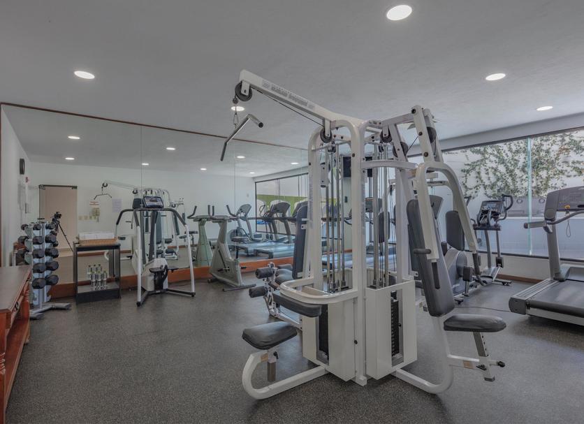 Palestra Foto
