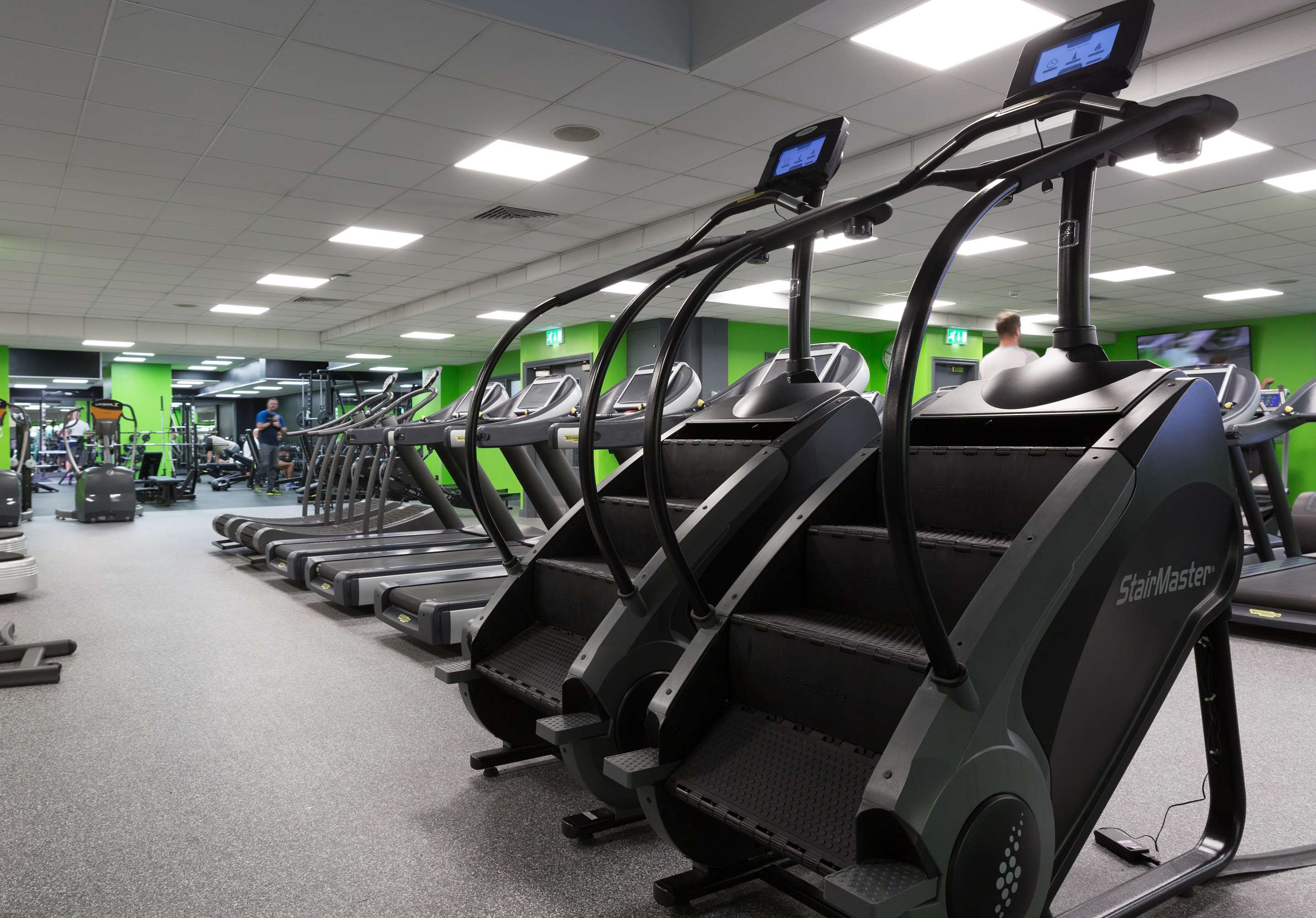 Palestra