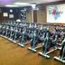 Palestra