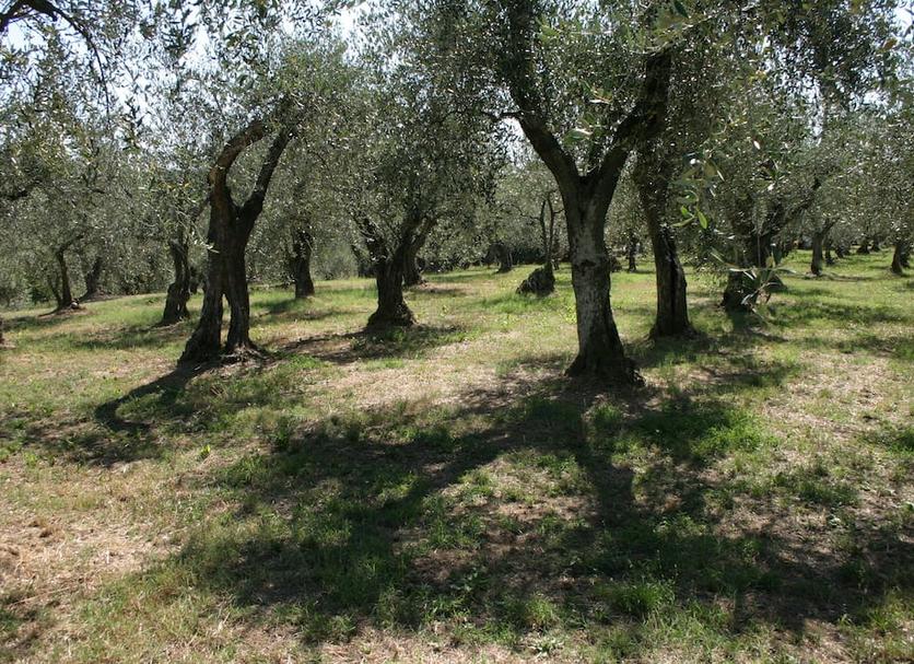Vista esterna Foto