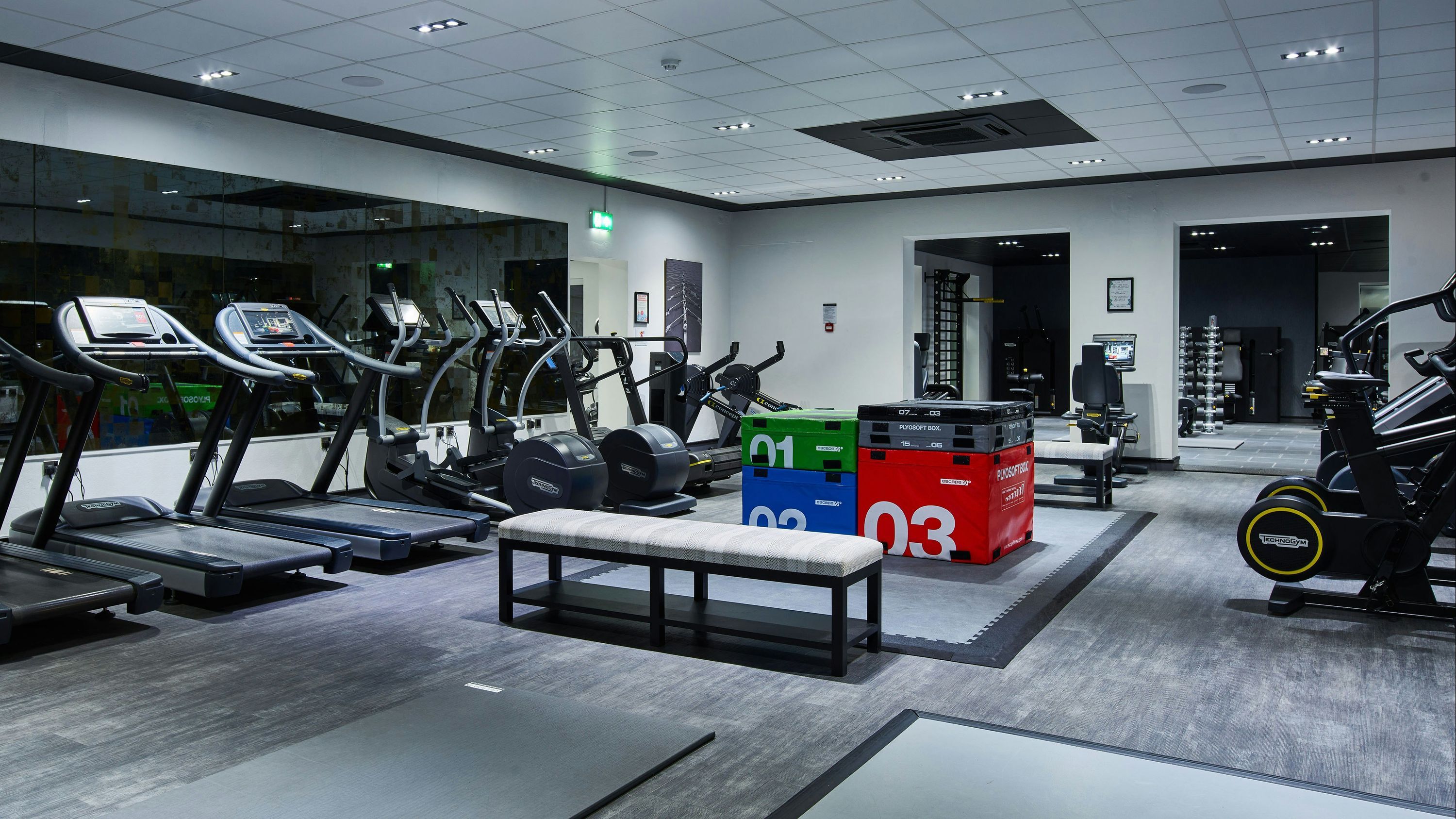 Palestra