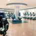 Palestra