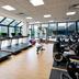 Palestra