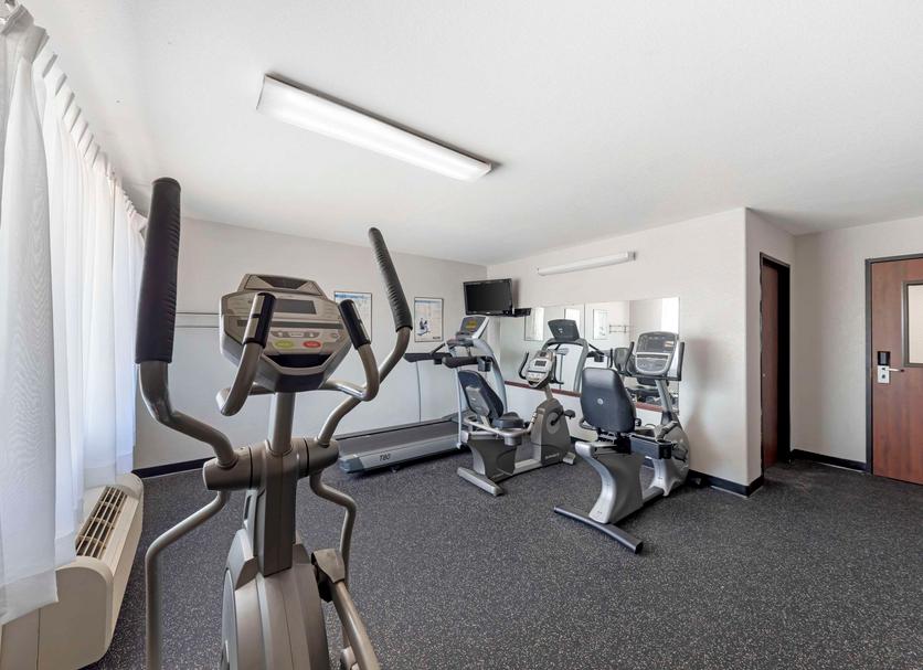 Palestra Foto
