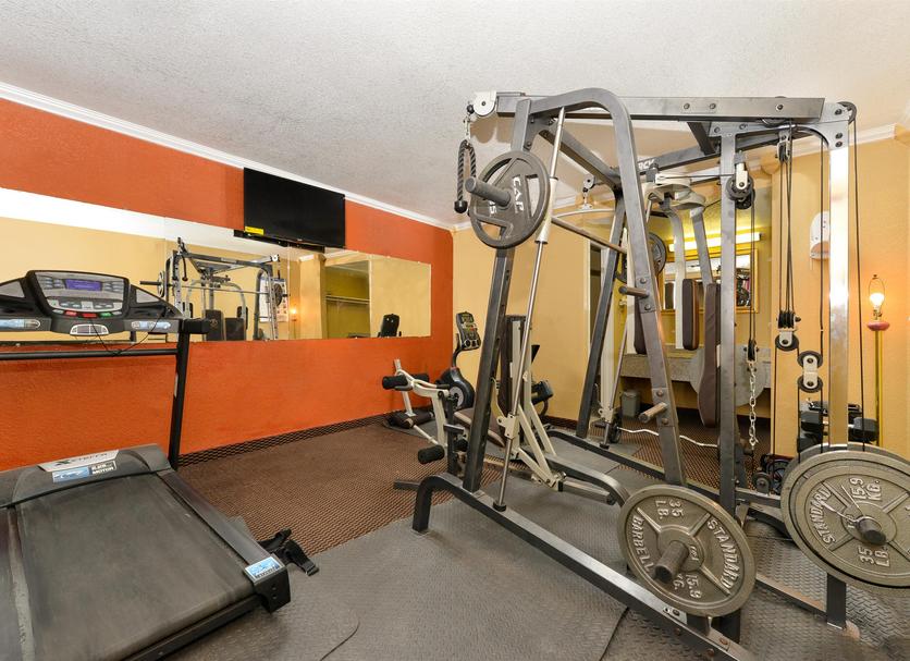 Palestra Foto