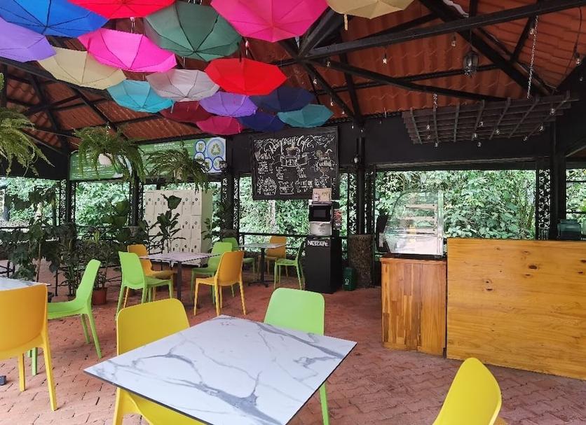 Ristorante Foto