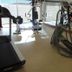 Palestra