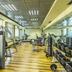 Palestra