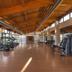 Palestra