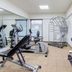 Palestra