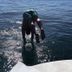 Altro