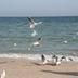 Spiaggia