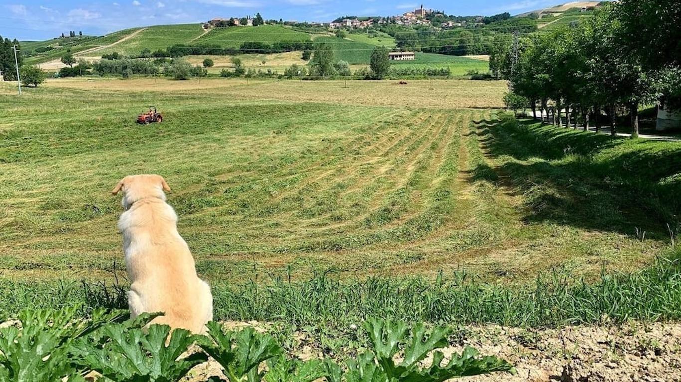 Agriturismo La Mussia