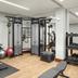 Palestra