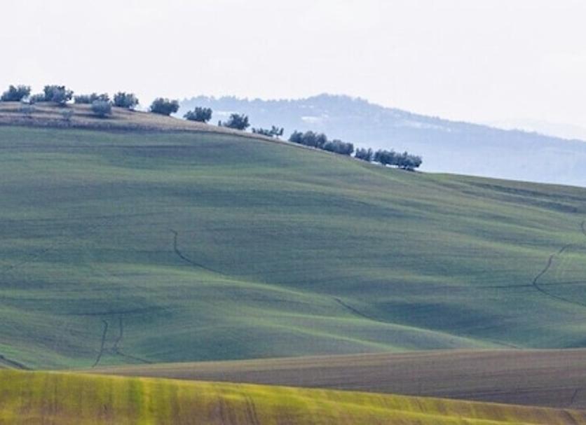 Vista esterna Foto