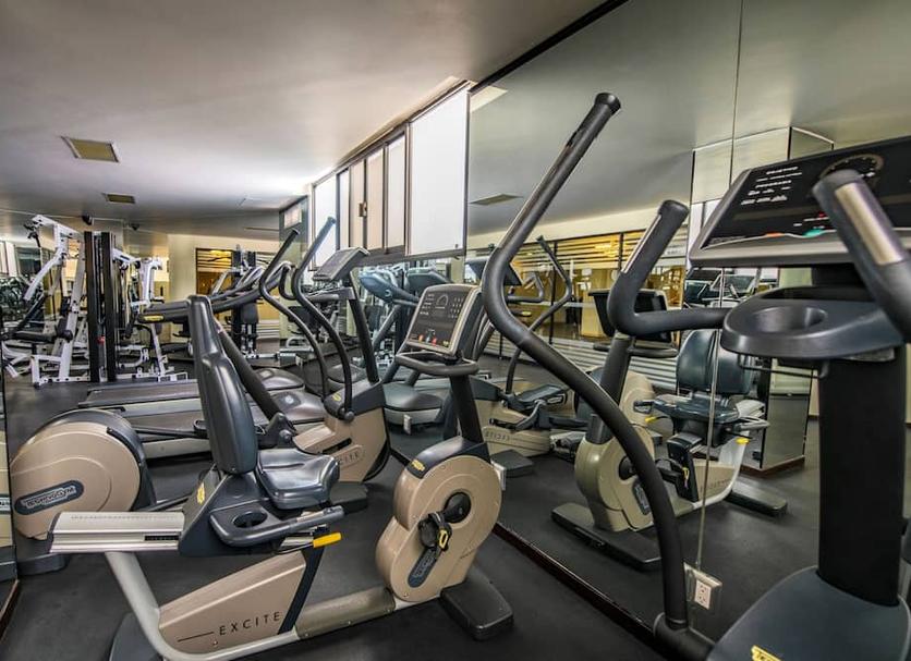 Palestra Foto