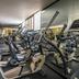 Palestra