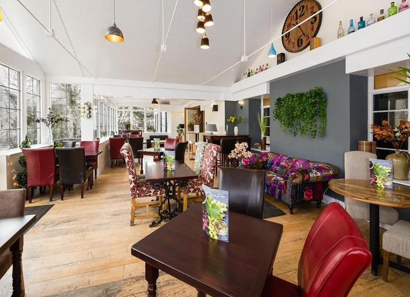 Ristorante Foto