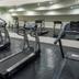 Palestra