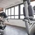 Palestra