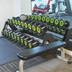 Palestra