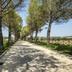 Vista esterna