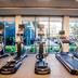 Palestra