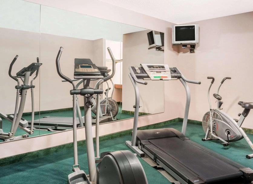Palestra Foto
